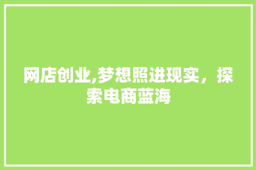 网店创业,梦想照进现实，探索电商蓝海