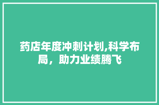 药店年度冲刺计划,科学布局，助力业绩腾飞