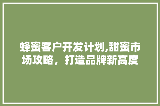 蜂蜜客户开发计划,甜蜜市场攻略，打造品牌新高度
