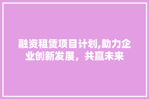 融资租赁项目计划,助力企业创新发展，共赢未来