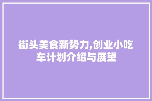 街头美食新势力,创业小吃车计划介绍与展望