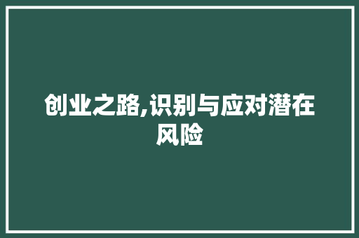 创业之路,识别与应对潜在风险