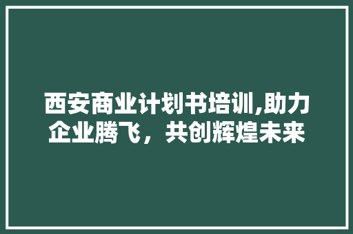 西安商业计划书培训,助力企业腾飞，共创辉煌未来