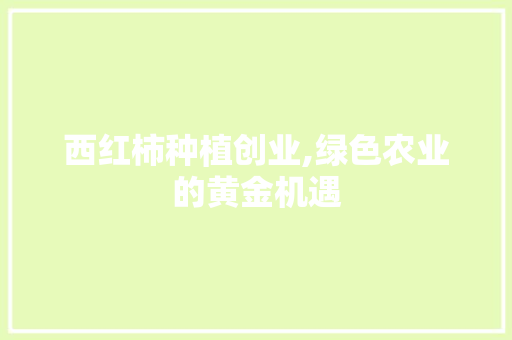 西红柿种植创业,绿色农业的黄金机遇