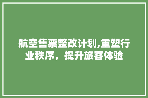 航空售票整改计划,重塑行业秩序，提升旅客体验