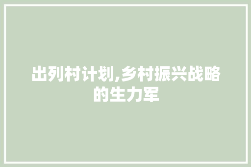 出列村计划,乡村振兴战略的生力军