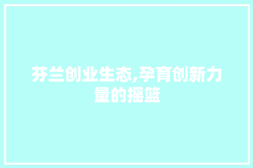 芬兰创业生态,孕育创新力量的摇篮
