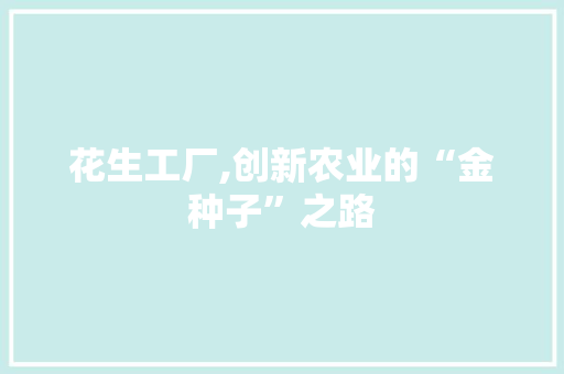 花生工厂,创新农业的“金种子”之路