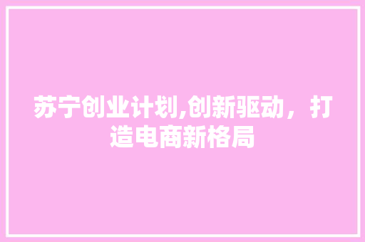 苏宁创业计划,创新驱动，打造电商新格局