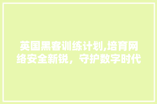 英国黑客训练计划,培育网络安全新锐，守护数字时代防线