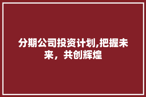 分期公司投资计划,把握未来，共创辉煌