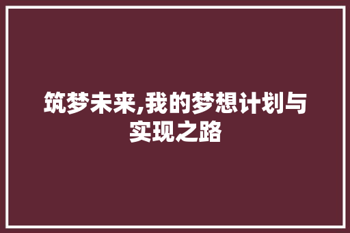 筑梦未来,我的梦想计划与实现之路
