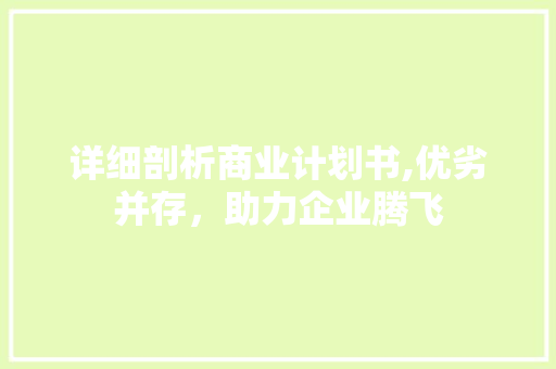 详细剖析商业计划书,优劣并存，助力企业腾飞