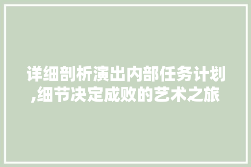 详细剖析演出内部任务计划,细节决定成败的艺术之旅