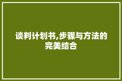 谈判计划书,步骤与方法的完美结合