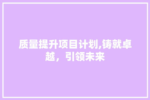 质量提升项目计划,铸就卓越，引领未来
