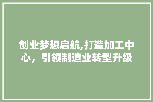 创业梦想启航,打造加工中心，引领制造业转型升级