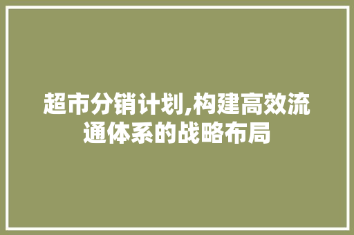 超市分销计划,构建高效流通体系的战略布局