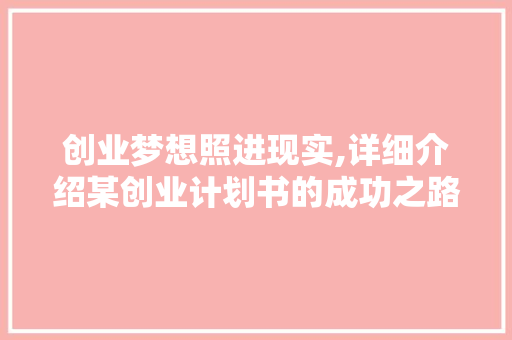 创业梦想照进现实,详细介绍某创业计划书的成功之路