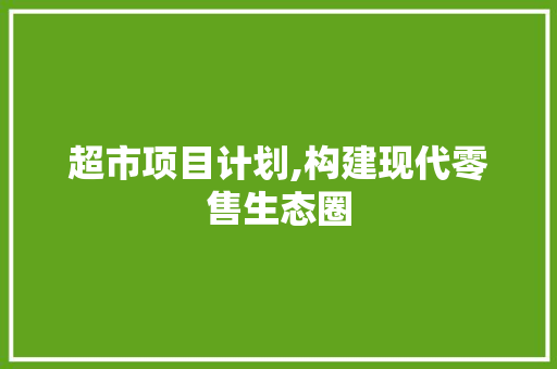 超市项目计划,构建现代零售生态圈