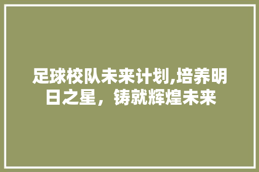 足球校队未来计划,培养明日之星，铸就辉煌未来