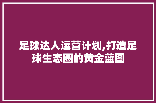 足球达人运营计划,打造足球生态圈的黄金蓝图