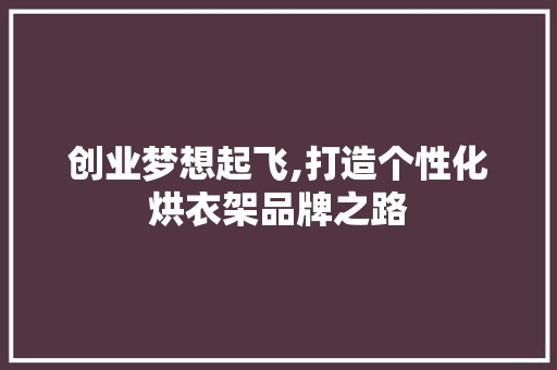 创业梦想起飞,打造个性化烘衣架品牌之路