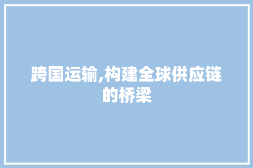 跨国运输,构建全球供应链的桥梁