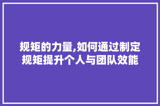 规矩的力量,如何通过制定规矩提升个人与团队效能