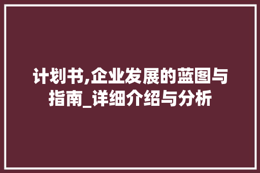 计划书,企业发展的蓝图与指南_详细介绍与分析