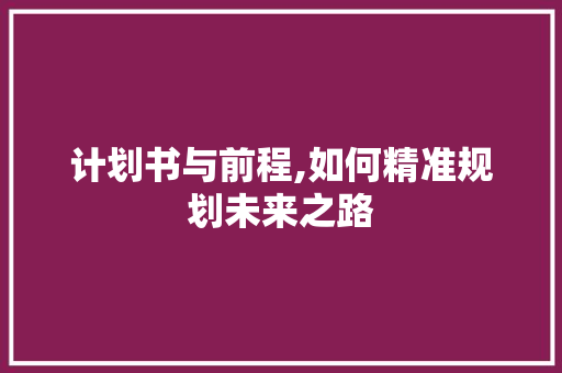 计划书与前程,如何精准规划未来之路