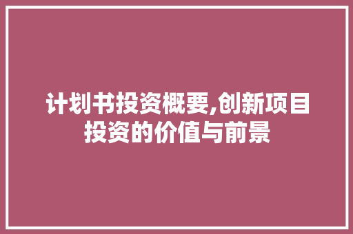计划书投资概要,创新项目投资的价值与前景