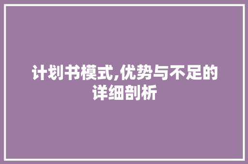 计划书模式,优势与不足的详细剖析
