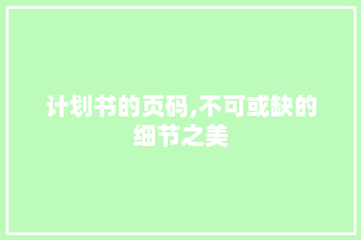 计划书的页码,不可或缺的细节之美