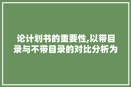 论计划书的重要性,以带目录与不带目录的对比分析为视角