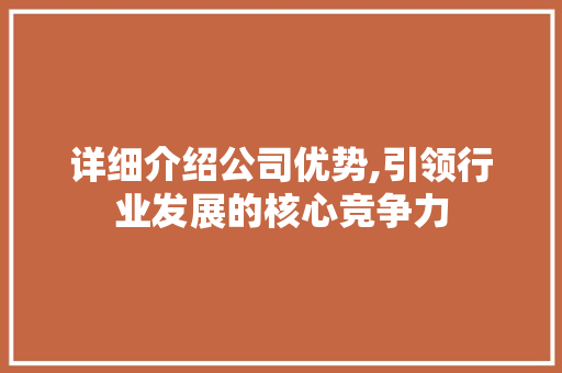 详细介绍公司优势,引领行业发展的核心竞争力