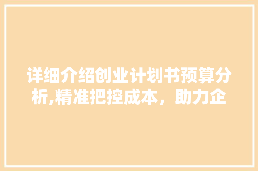 详细介绍创业计划书预算分析,精准把控成本，助力企业腾飞