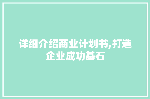 详细介绍商业计划书,打造企业成功基石