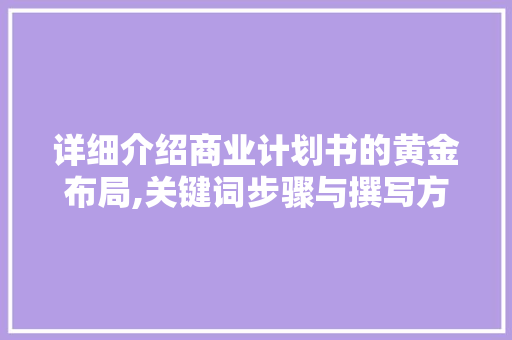 详细介绍商业计划书的黄金布局,关键词步骤与撰写方法