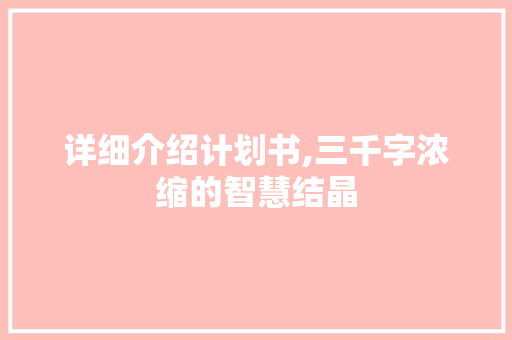 详细介绍计划书,三千字浓缩的智慧结晶