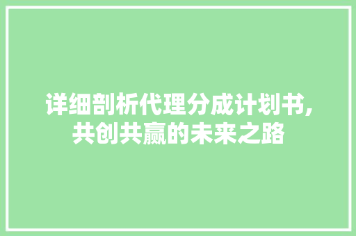 详细剖析代理分成计划书,共创共赢的未来之路
