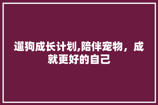 遛狗成长计划,陪伴宠物，成就更好的自己