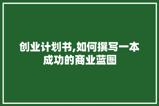 创业计划书,如何撰写一本成功的商业蓝图
