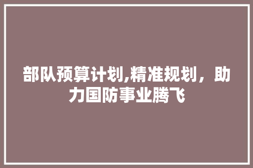 部队预算计划,精准规划，助力国防事业腾飞