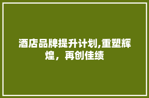 酒店品牌提升计划,重塑辉煌，再创佳绩