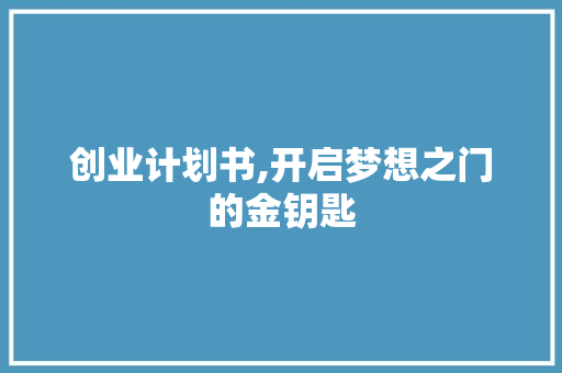 创业计划书,开启梦想之门的金钥匙