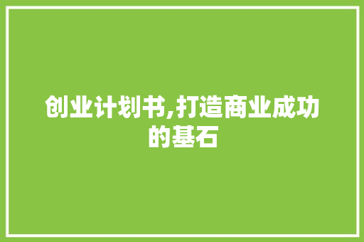 创业计划书,打造商业成功的基石