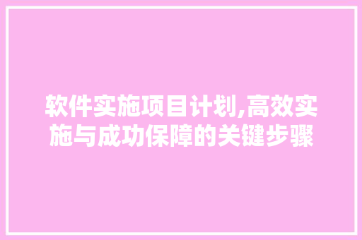 软件实施项目计划,高效实施与成功保障的关键步骤