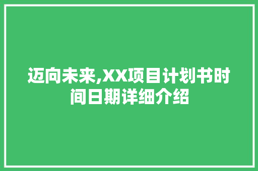迈向未来,XX项目计划书时间日期详细介绍