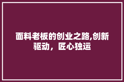 面料老板的创业之路,创新驱动，匠心独运